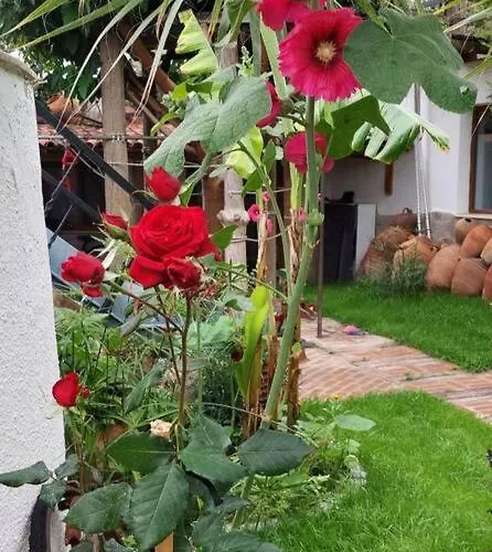 Karamese Tas Ev - Karamese Stone House Holiday home *