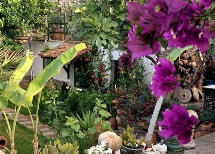 Karamese Tas Ev - Karamese Stone House סלצ'וק