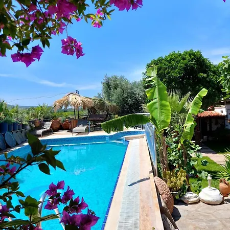 Tatil Evi Karameşe Taş Ev - Karameşe Stone House *